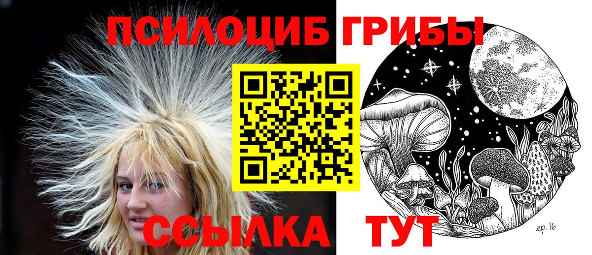 Псилоцибиновые грибы Psilocybine cubensis  купить   Псилоцибиновые грибы прущие грибы  Кимры  Вход с VPN 